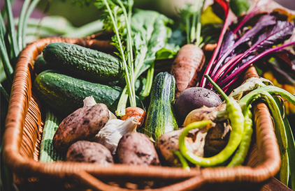 Wasser the-elements-of-life.de